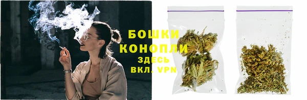 PSILOCYBIN Ельня