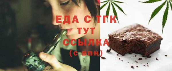 PSILOCYBIN Ельня