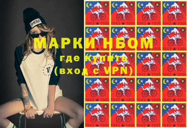 PSILOCYBIN Ельня