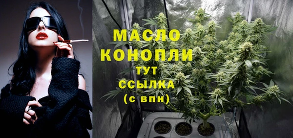 PSILOCYBIN Ельня