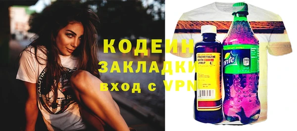 PSILOCYBIN Ельня
